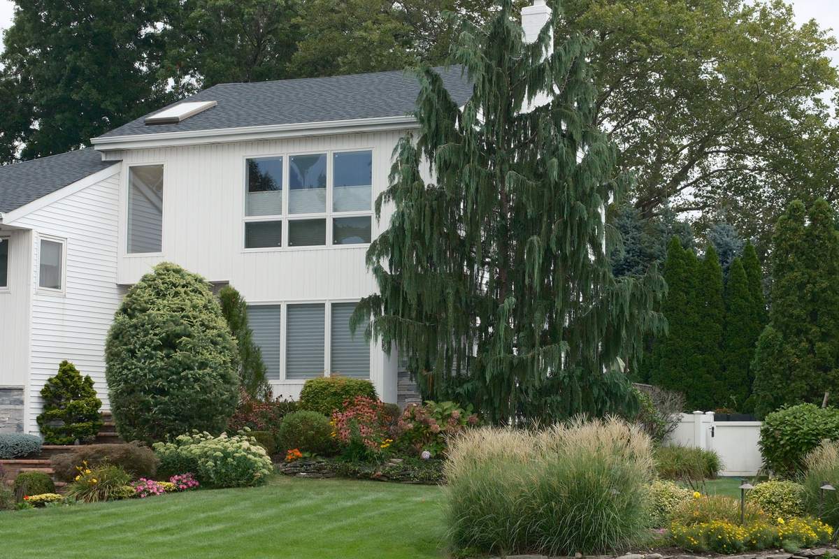 Licensed stock photograph: a house behind deep planted beds and a mown lawn.